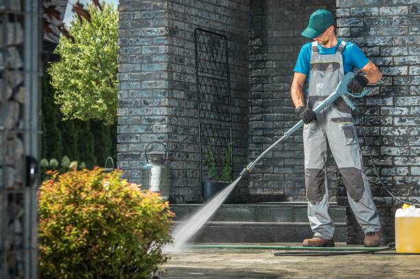 Best Driveway Pressure Washing  in Cologne, MN